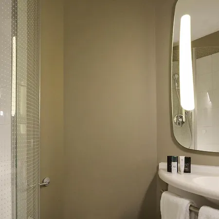 Ibis Centre Grand Palais Hotel 3*