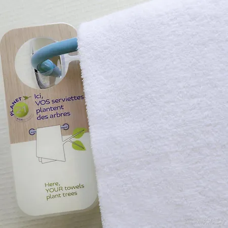 Ibis Centre Grand Palais 3*