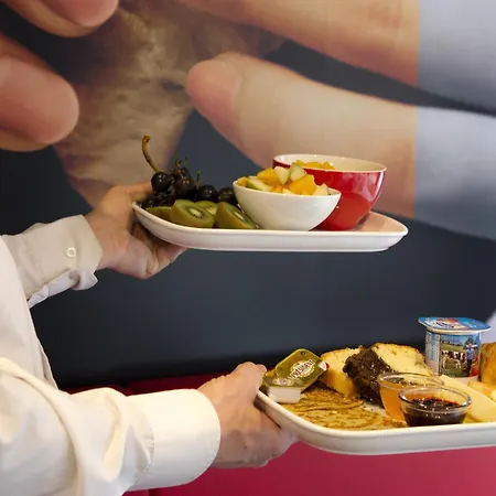 فندق Ibis Centre Grand Palais 3*